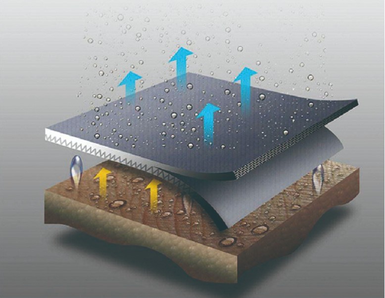 圖片關(guān)鍵詞
